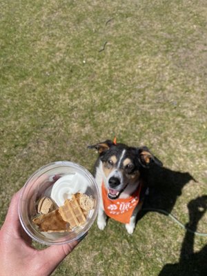 Pup-A-Treat for a very good boy on a hot day.