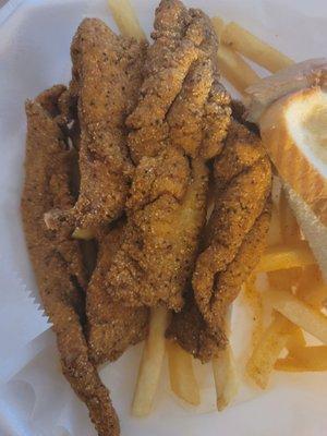 2pc catfish filets