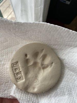 Paw print