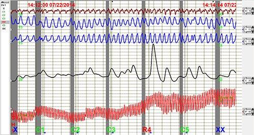 Polygraphs in DFW Metroplex and surrounding area $600