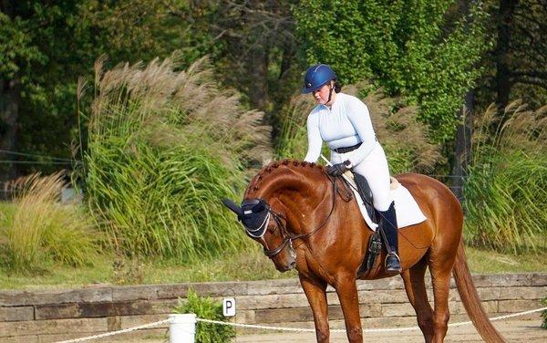 Silver Crest Equestrian Center