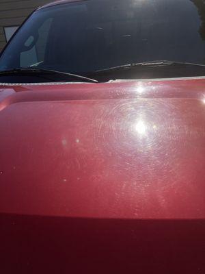 Title wave auto spa on Ridge Road in Newport Richey, Florida. Refused to restore the hood scratched on my F150.