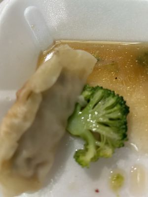 Chicken dumplings with broccoli