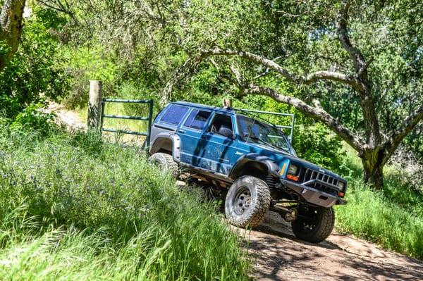 Christmas on a shady trail at Hollister Hills