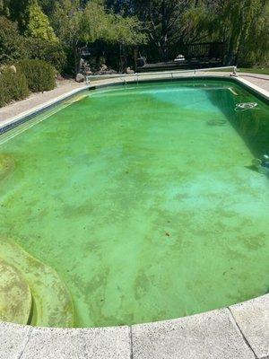 This pool was green for the entire summer.