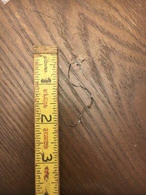 3" piece of metal wire I found in my dumplings as I was chewing. They gave me a $2 refund...