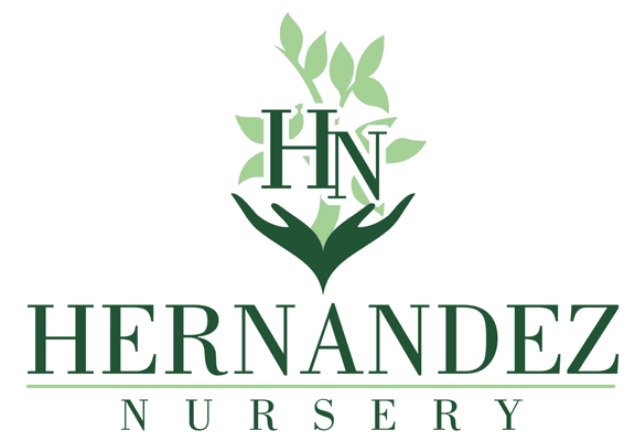 Hernandez Nursery