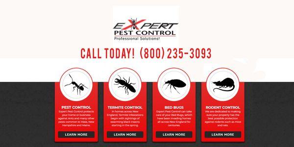 Expert Pest Control