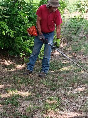 Cutting front and back yard grass