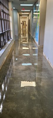 Diamond grind and clear epoxy with no color added. Sometimes the concrete has the right color inside