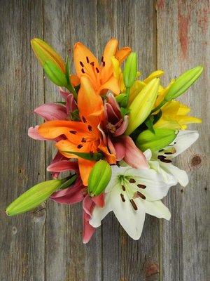 Easter Lilies