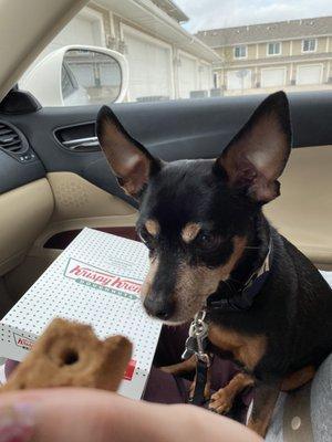 He got a free treat in drive thru!