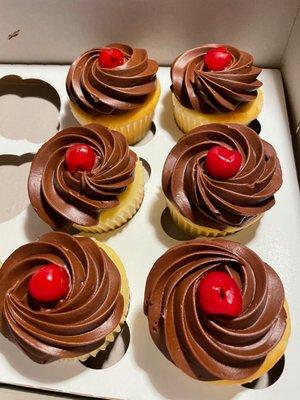 Boston creme cupcakes