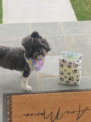 Gem loves her hair cut and her goodie bag. Thank you