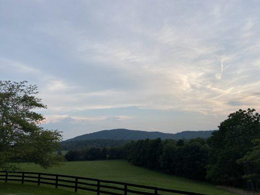 View from Carriage House porch