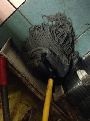 Filthy mops