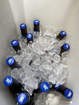 Bud lights that I bought already in ice.