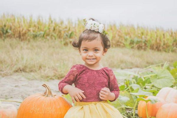 Pumpkin Patch Mini's 2019