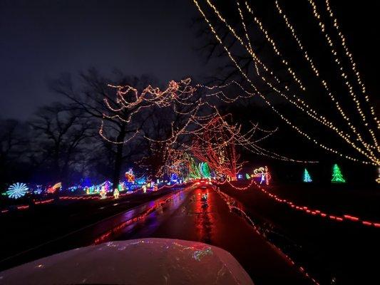 Winter Wonderland @ Tilles Park