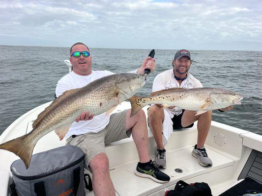 Good day on the bull reds!