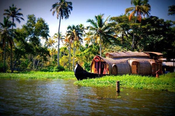 Nature Beauty of Kerala