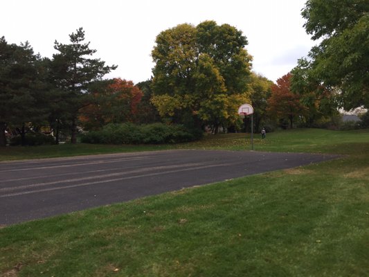 Full Basketball Court