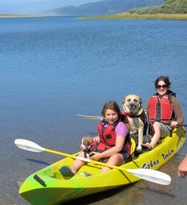 Come and stay and book a fun kayaking trip at big lagoon.