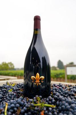 Our DeLoach Estate Pinot Noir, beautifully crafted by our winemakers and it is organic and biodynamic.