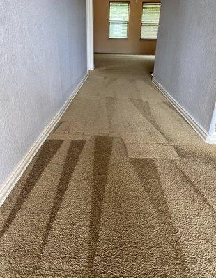 Clean carpet