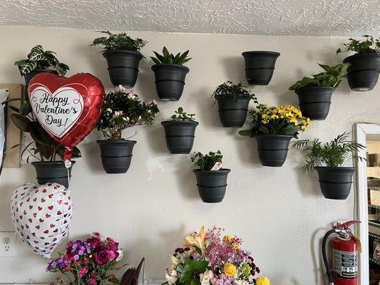 Flowers on the wall above a real old-fashioned radio playing country and western music