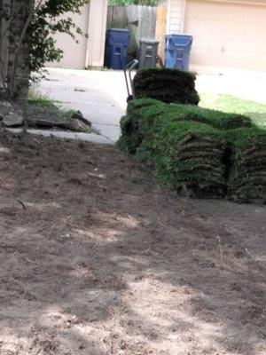 Fresh sod !