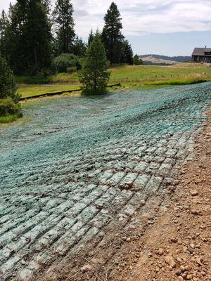 Vision Hydroseeding