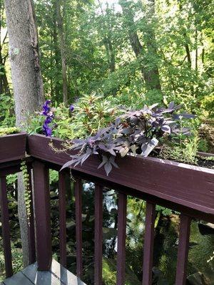 Outdoor patio