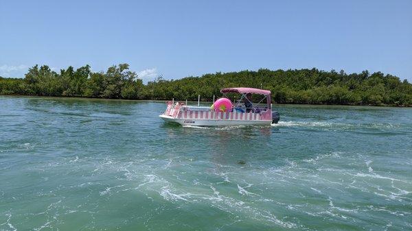 In the Pink Ice Cream Boat