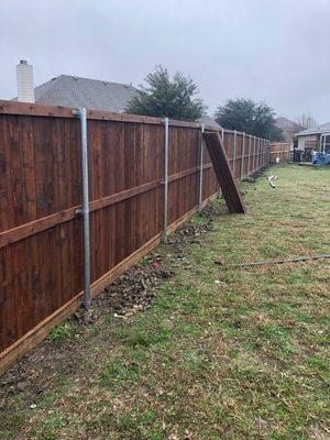 6' board to board fencing with top trim