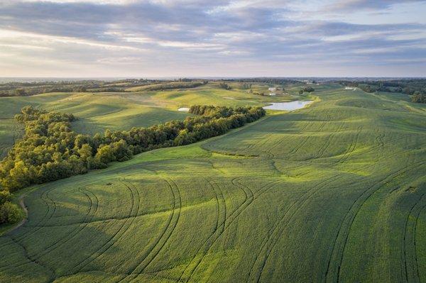 Agricultural Land