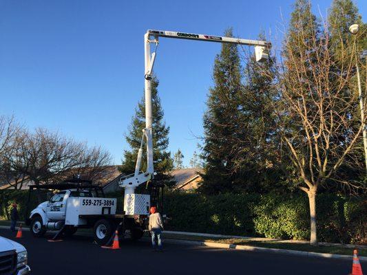 Tree Pruning