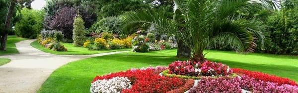 Commercial Landscape Maintenance