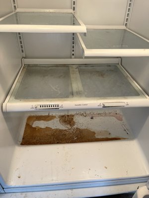 Fridge before cleaning