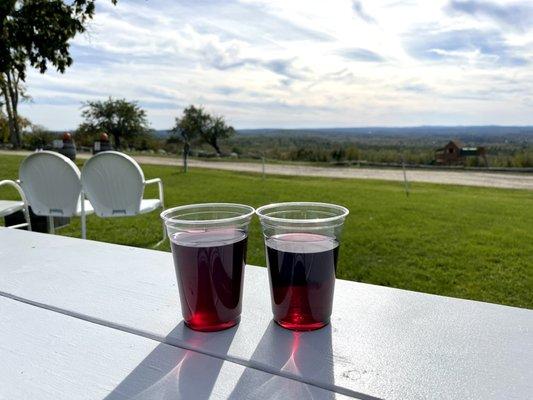 Vista of Maine Vineyard & Cidery Tasting Room