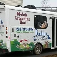 Buddy's Pet Resort at Happy Hounds