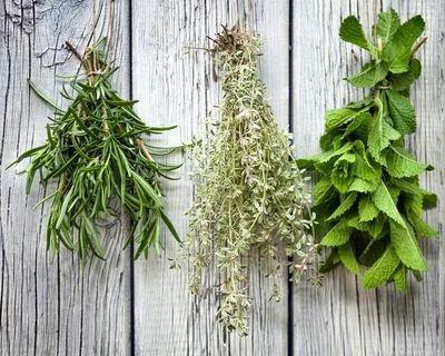 The Healing Herb / Magic Stuff