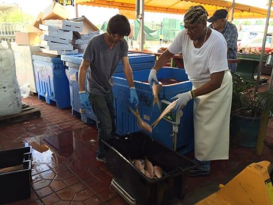 Pescado fresco de nuestros barcos!