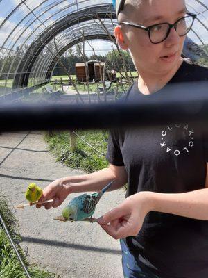 My daughter in the Aviary with parakeets eating seeds off popsicles that can be purchased out of a vending machine outside the gate.