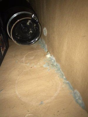 Mold in the kitchen cabinets that maintenance claimed they cleaned.