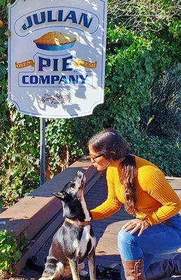 Mina and EV, because of her training, is welcome EVERYWHERE! I can help your dog be welcome everywhere too.