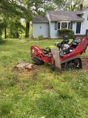 This stump grinder rented from the Home Depot in Flemington made short work of a dozen of theses stumps.