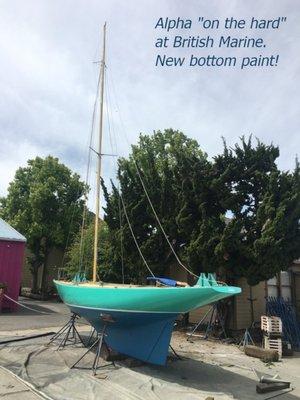 I did the topsides paint and the bootstripe, myself. British Marine stepped the mast and did the bottom prep and paint.