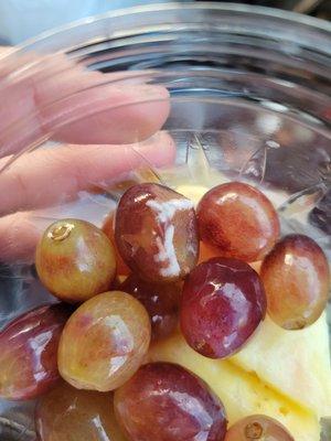 not sure why there's mold on my grapes. It's too early to be hurling into the outside gas station garbage can at 8 A.M. .....why