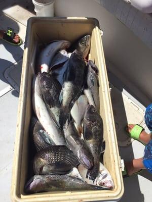 Atsakeepa Sportfishing Charters